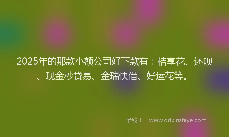 2025年的那款小额公司好下款有：桔享花、还呗、现金秒贷易、金瑞快借、好运花等。