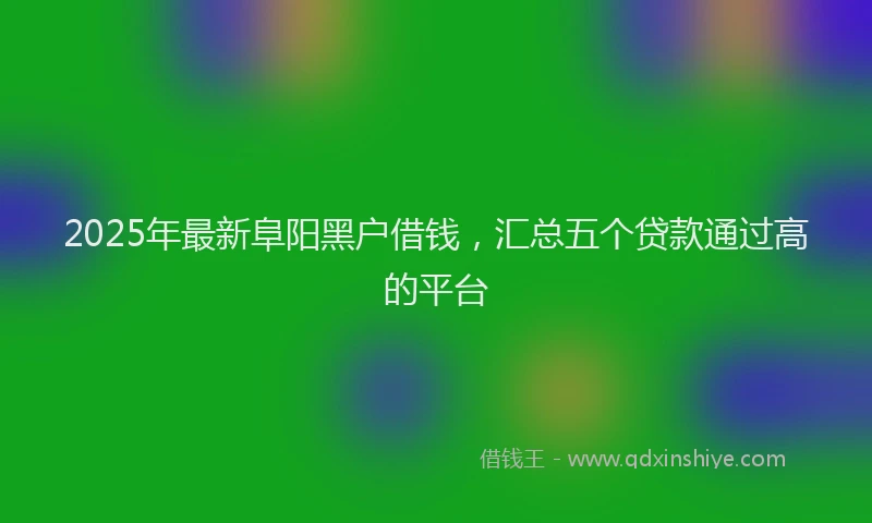 2025年最新阜阳黑户借钱，汇总五个贷款通过高的平台