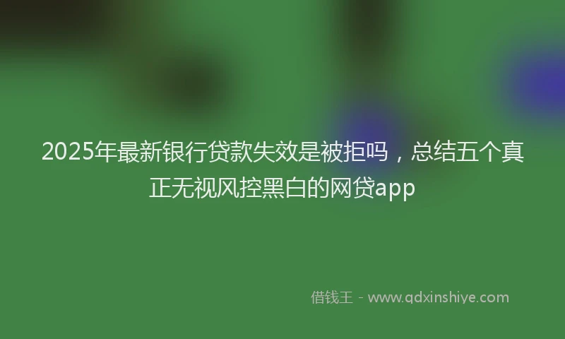 2025年最新银行贷款失效是被拒吗，总结五个真正无视风控黑白的网贷app