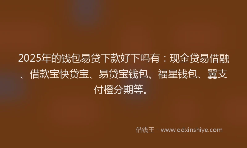 2025年的钱包易贷下款好下吗有：现金贷易借融、借款宝快贷宝、易贷宝钱包、福星钱包、翼支付橙分期等。