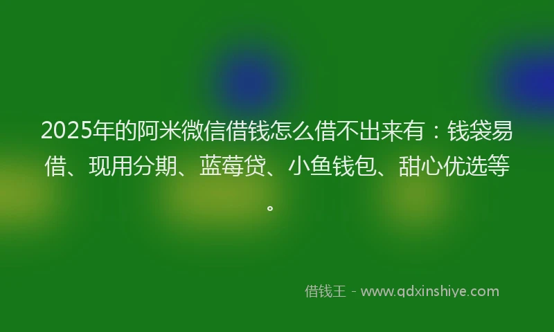 2025年的阿米微信借钱怎么借不出来有：钱袋易借、现用分期、蓝莓贷、小鱼钱包、甜心优选等。