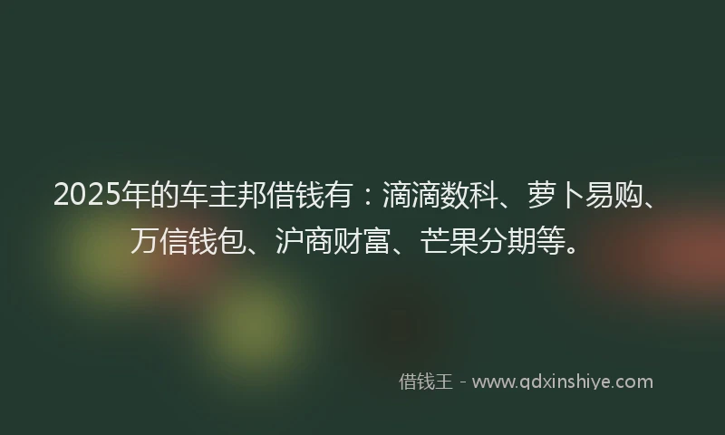 2025年的车主邦借钱有：滴滴数科、萝卜易购、万信钱包、沪商财富、芒果分期等。