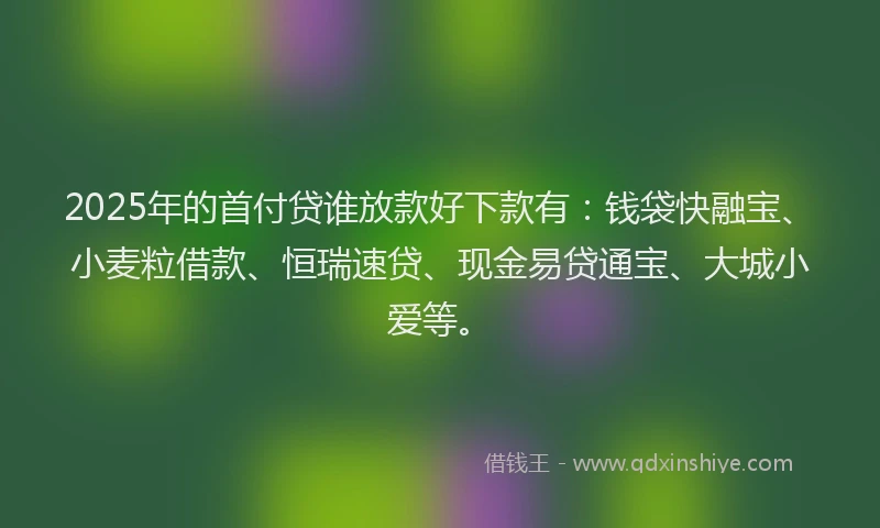 2025年的首付贷谁放款好下款有：钱袋快融宝、小麦粒借款、恒瑞速贷、现金易贷通宝、大城小爱等。