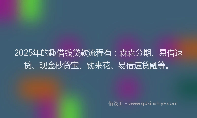 2025年的趣借钱贷款流程有：森森分期、易借速贷、现金秒贷宝、钱来花、易借速贷融等。