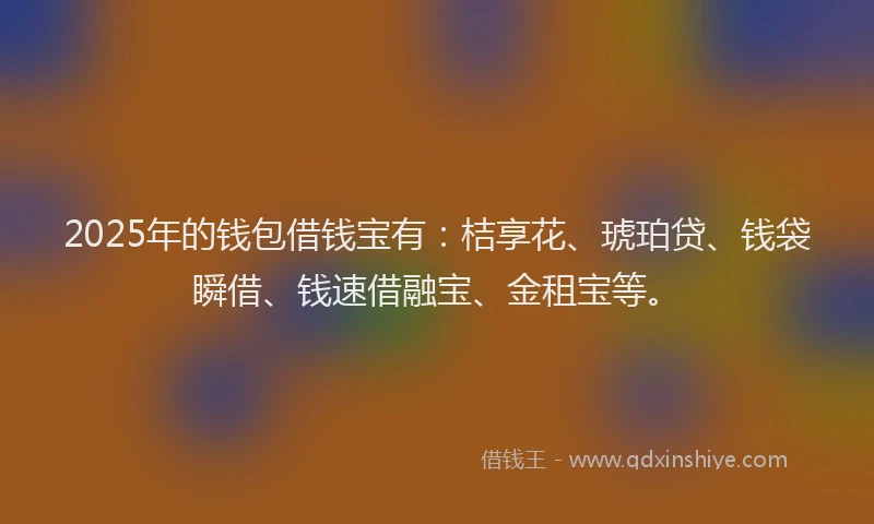 2025年的钱包借钱宝有：桔享花、琥珀贷、钱袋瞬借、钱速借融宝、金租宝等。