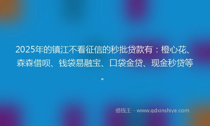 2025年的镇江不看征信的秒批贷款有：橙心花、森森借呗、钱袋易融宝、口袋金贷、现金秒贷等。