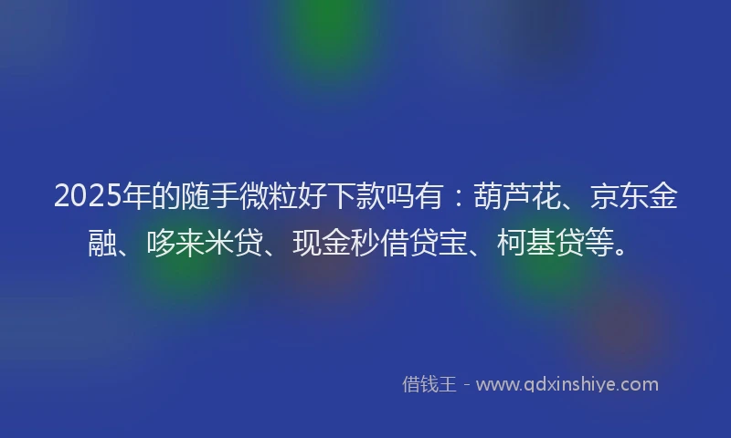 2025年的随手微粒好下款吗有:葫芦花、京东金融、哆来米贷、现金秒借贷宝、柯基贷等。