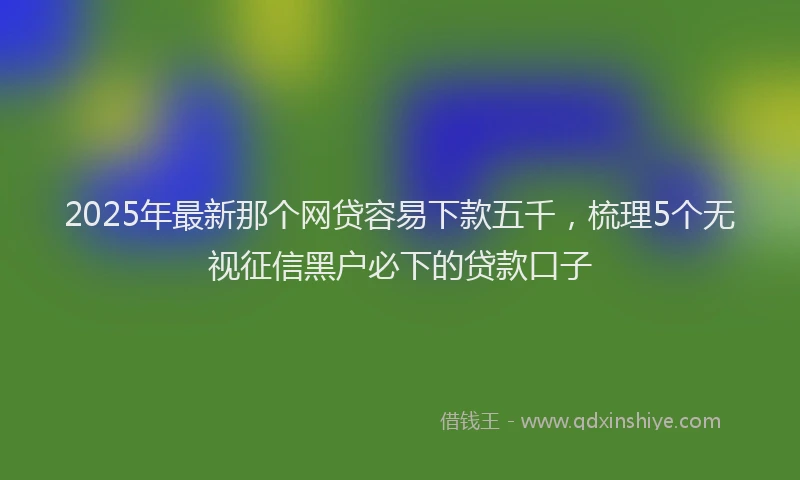 2025年最新那个网贷容易下款五千，梳理5个无视征信黑户必下的贷款口子
