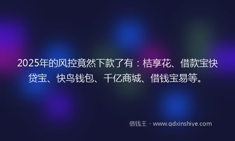 2025年的风控竟然下款了有：桔享花、借款宝快贷宝、快鸟钱包、千亿商城、借钱宝易等。