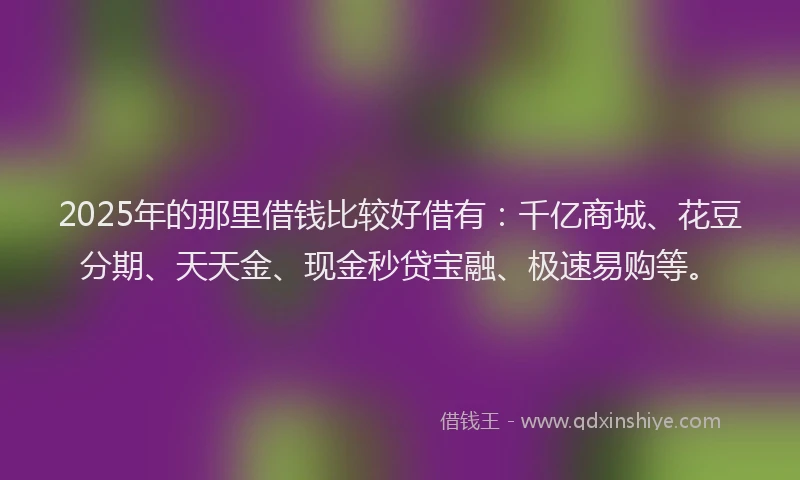 2025年的那里借钱比较好借有：千亿商城、花豆分期、天天金、现金秒贷宝融、极速易购等。