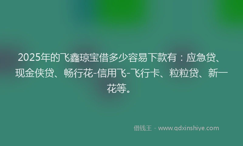 2025年的飞鑫琼宝借多少容易下款有：应急贷、现金侠贷、畅行花-信用飞-飞行卡、粒粒贷、新一花等。