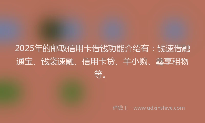 2025年的邮政信用卡借钱功能介绍有：钱速借融通宝、钱袋速融、信用卡贷、羊小购、鑫享租物等。