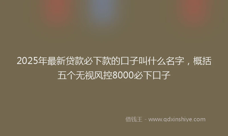 2025年最新贷款必下款的口子叫什么名字，概括五个无视风控8000必下口子