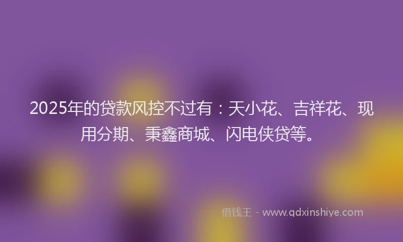 2025年的贷款风控不过有：天小花、吉祥花、现用分期、秉鑫商城、闪电侠贷等。