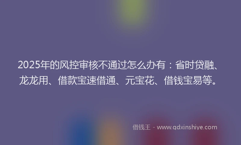 2025年的风控审核不通过怎么办有：省时贷融、龙龙用、借款宝速借通、元宝花、借钱宝易等。