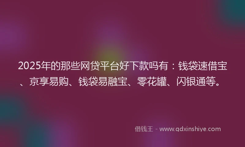 2025年的那些网贷平台好下款吗有：钱袋速借宝、京享易购、钱袋易融宝、零花罐、闪银通等。