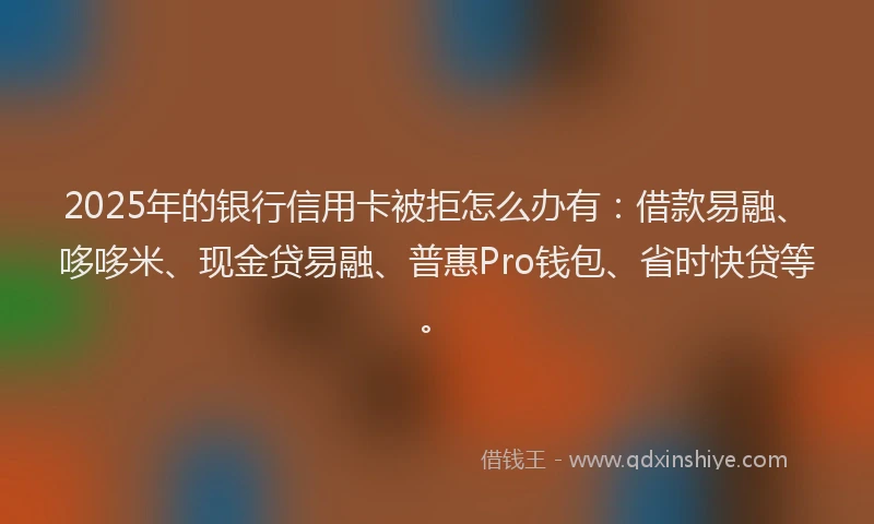 2025年的银行信用卡被拒怎么办有：借款易融、哆哆米、现金贷易融、普惠Pro钱包、省时快贷等。
