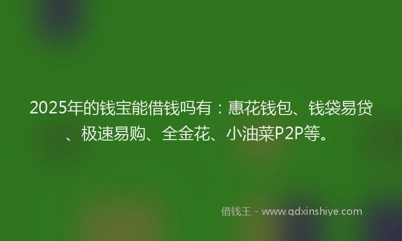 2025年的钱宝能借钱吗有：惠花钱包、钱袋易贷、极速易购、全金花、小油菜P2P等。