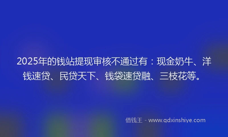 2025年的钱站提现审核不通过有：现金奶牛、洋钱速贷、民贷天下、钱袋速贷融、三枝花等。