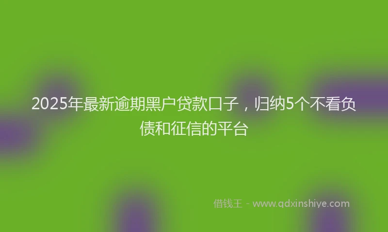 2025年最新逾期黑户贷款口子，归纳5个不看负债和征信的平台