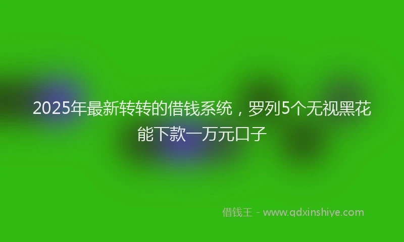 2025年最新转转的借钱系统，罗列5个无视黑花能下款一万元口子