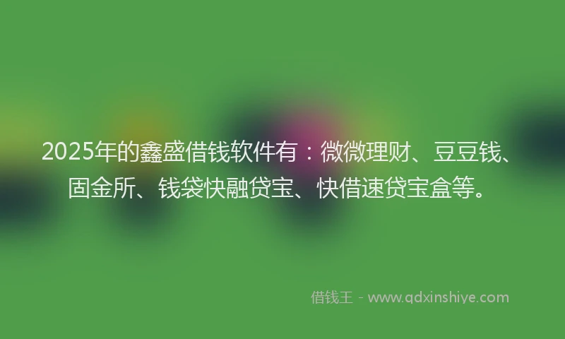 2025年的鑫盛借钱软件有：微微理财、豆豆钱、固金所、钱袋快融贷宝、快借速贷宝盒等。