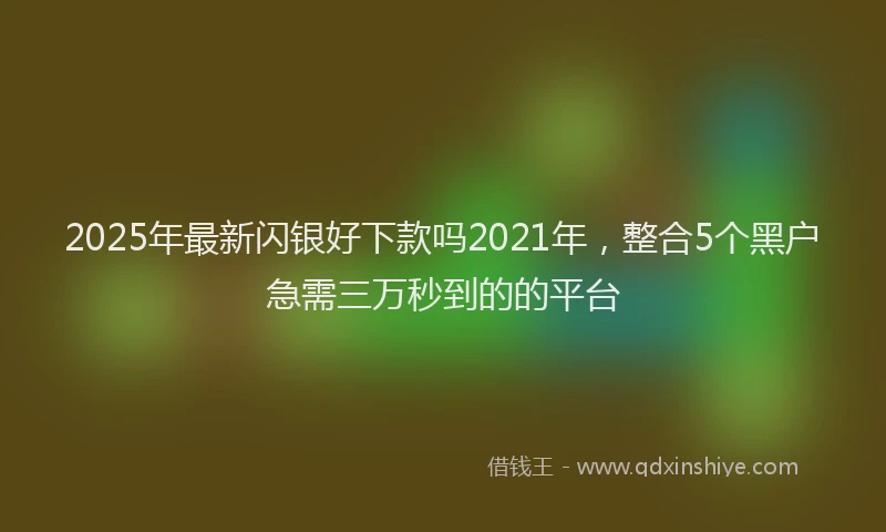 2025年最新闪银好下款吗2021年,整合5个黑户急需三万秒到的的平台