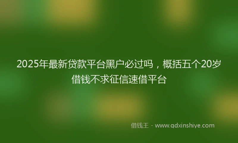 2025年最新贷款平台黑户必过吗，概括五个20岁借钱不求征信速借平台