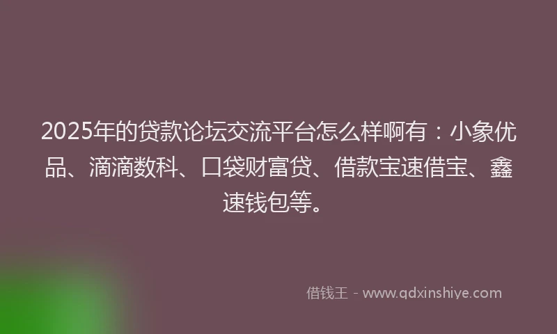 2025年的贷款论坛交流平台怎么样啊有：小象优品、滴滴数科、口袋财富贷、借款宝速借宝、鑫速钱包等。