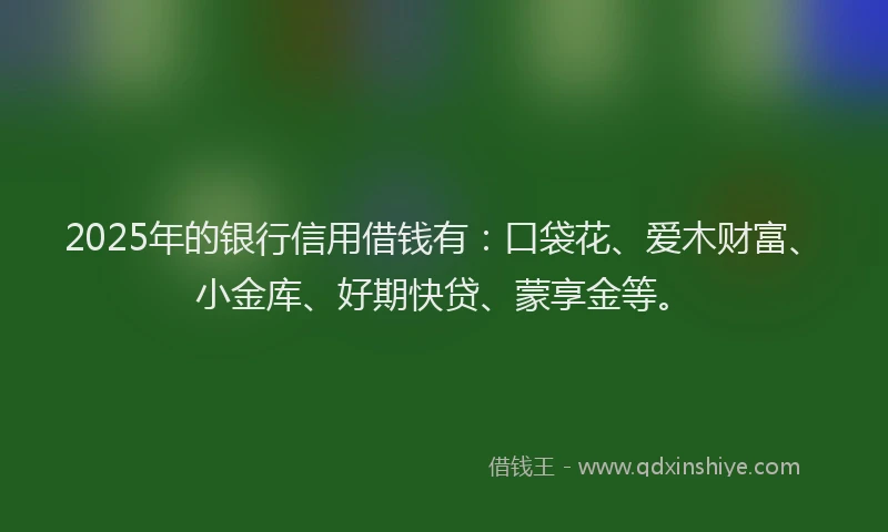 2025年的银行信用借钱有：口袋花、爱木财富、小金库、好期快贷、蒙享金等。