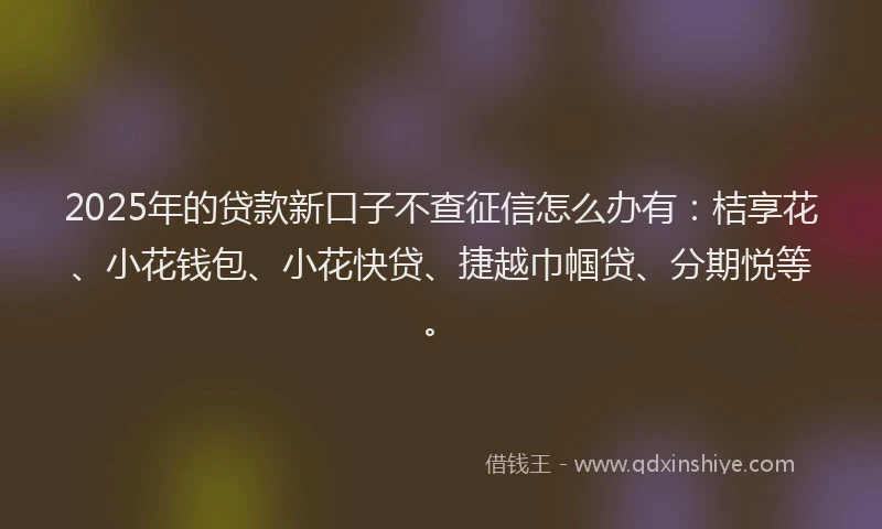 2025年的贷款新口子不查征信怎么办有：桔享花、小花钱包、小花快贷、捷越巾帼贷、分期悦等。