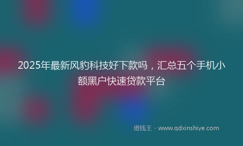 2025年最新风豹科技好下款吗，汇总五个手机小额黑户快速贷款平台
