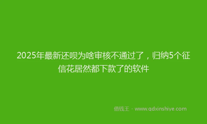 2025年最新还呗为啥审核不通过了，归纳5个征信花居然都下款了的软件