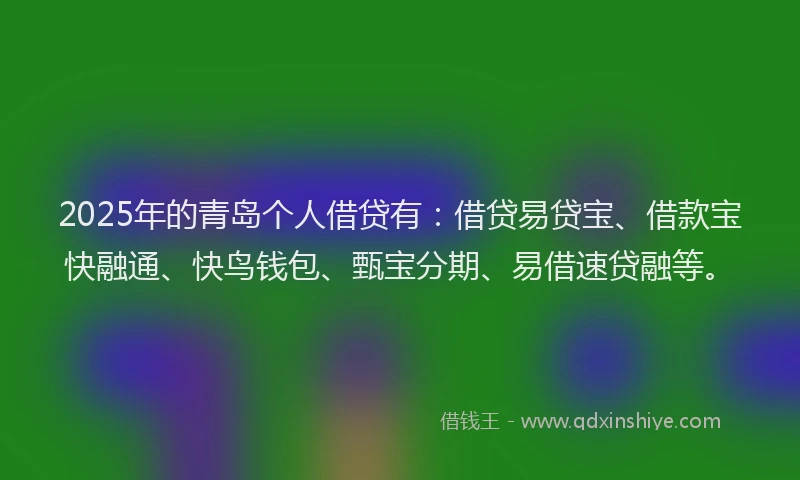 2025年的青岛个人借贷有：借贷易贷宝、借款宝快融通、快鸟钱包、甄宝分期、易借速贷融等。