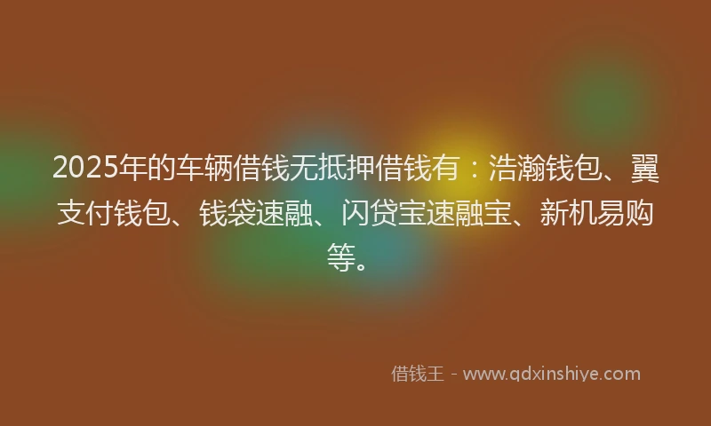 2025年的车辆借钱无抵押借钱有：浩瀚钱包、翼支付钱包、钱袋速融、闪贷宝速融宝、新机易购等。