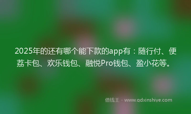 2025年的还有哪个能下款的app有：随行付、便荔卡包、欢乐钱包、融悦Pro钱包、盈小花等。