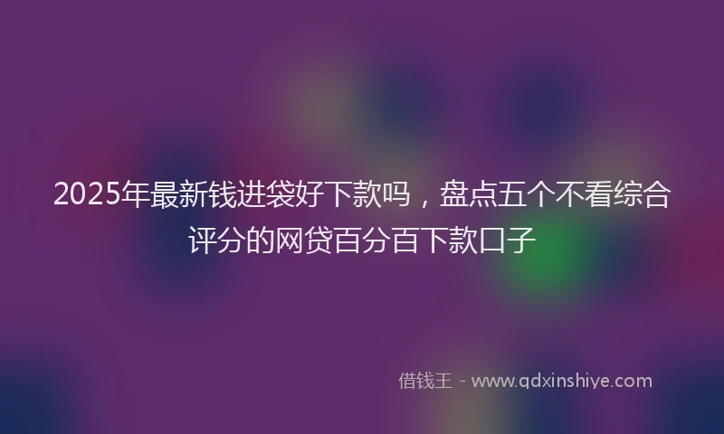 2025年最新钱进袋好下款吗，盘点五个不看综合评分的网贷百分百下款口子