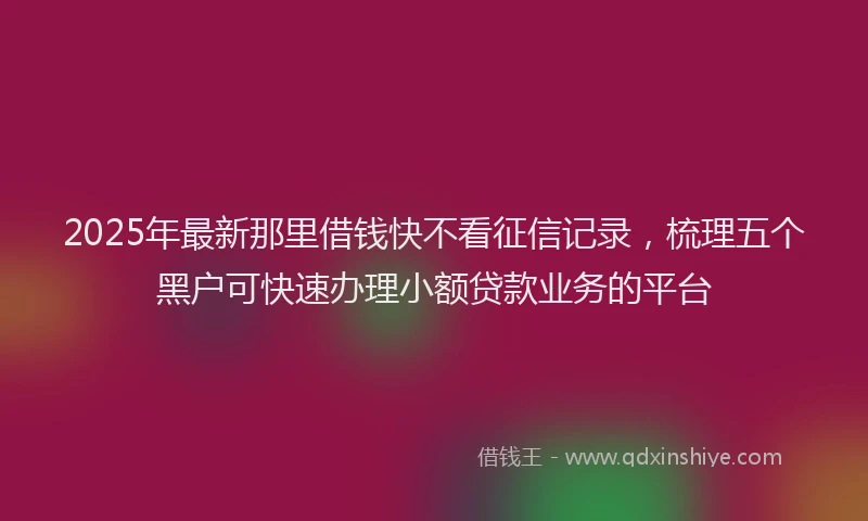 2025年最新那里借钱快不看征信记录，梳理五个黑户可快速办理小额贷款业务的平台