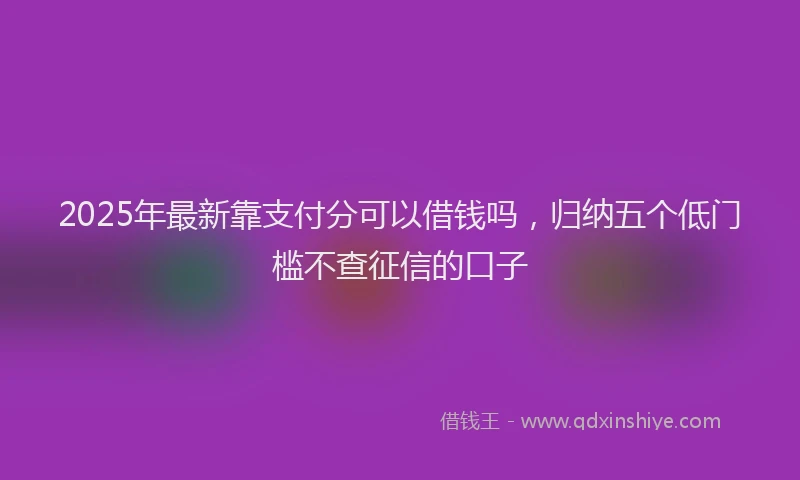 2025年最新靠支付分可以借钱吗，归纳五个低门槛不查征信的口子