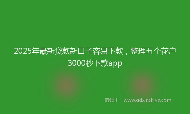 2025年最新贷款新口子容易下款，整理五个花户3000秒下款app