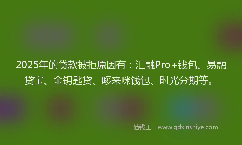 2025年的贷款被拒原因有：汇融Pro+钱包、易融贷宝、金钥匙贷、哆来咪钱包、时光分期等。