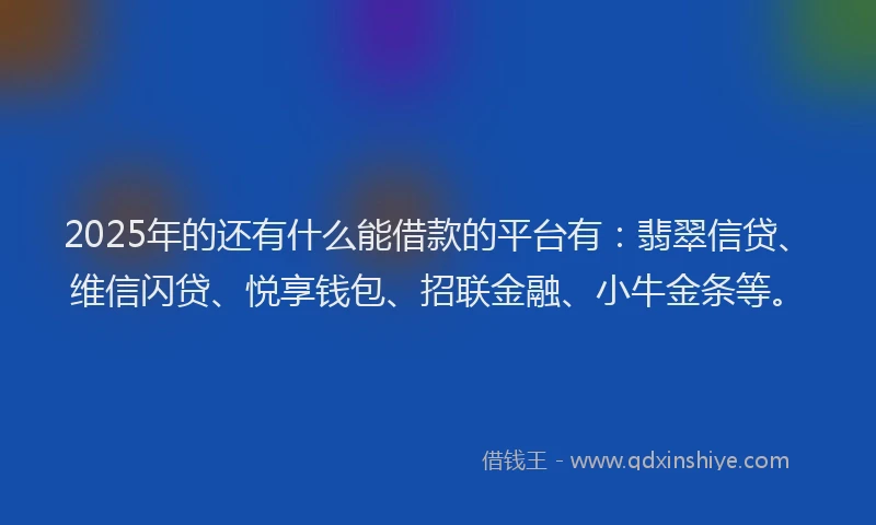 2025年的还有什么能借款的平台有：翡翠信贷、维信闪贷、悦享钱包、招联金融、小牛金条等。