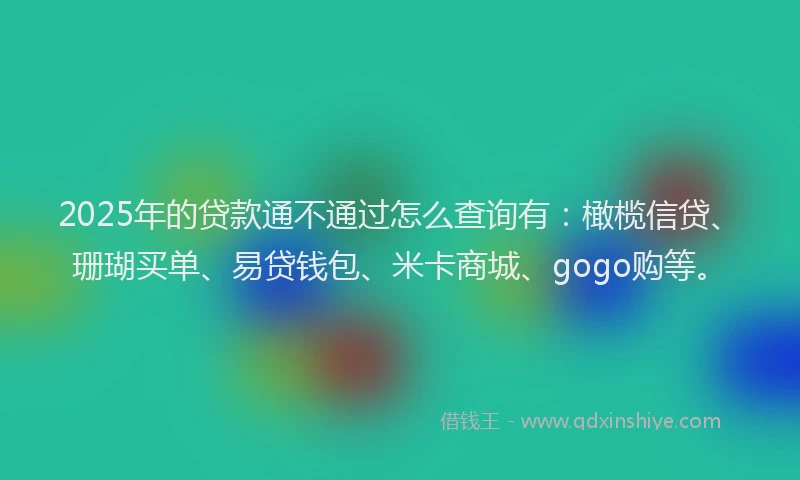 2025年的贷款通不通过怎么查询有：橄榄信贷、珊瑚买单、易贷钱包、米卡商城、gogo购等。