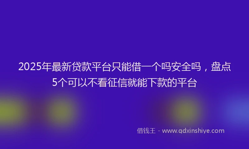 2025年最新贷款平台只能借一个吗安全吗,盘点5个可以不看征信就能下款的平台