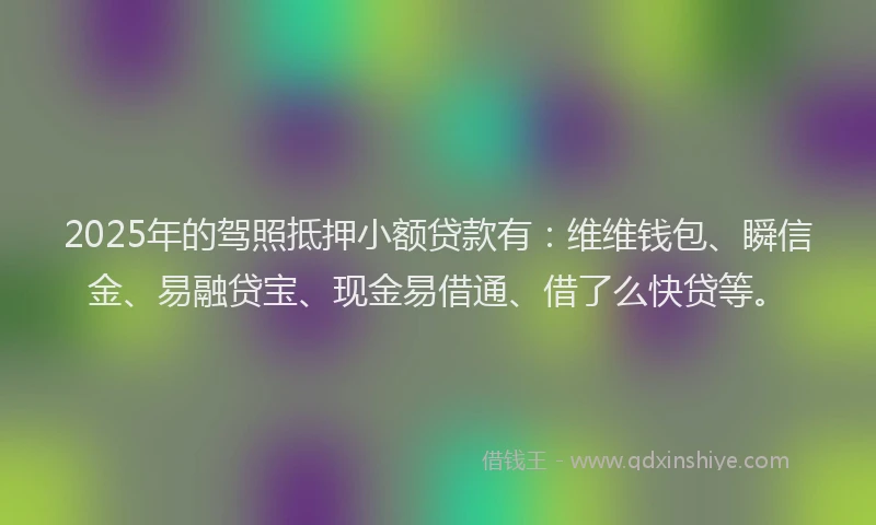 2025年的驾照抵押小额贷款有：维维钱包、瞬信金、易融贷宝、现金易借通、借了么快贷等。