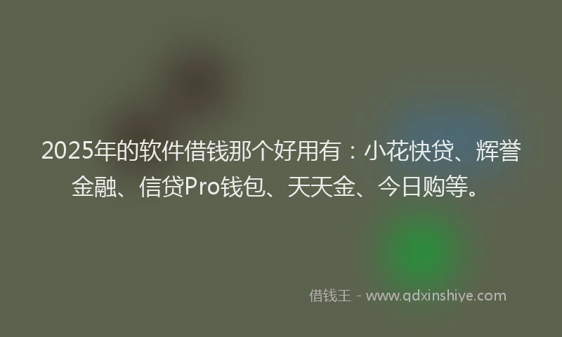 2025年的软件借钱那个好用有：小花快贷、辉誉金融、信贷Pro钱包、天天金、今日购等。