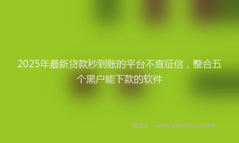 2025年最新贷款秒到账的平台不查征信，整合五个黑户能下款的软件