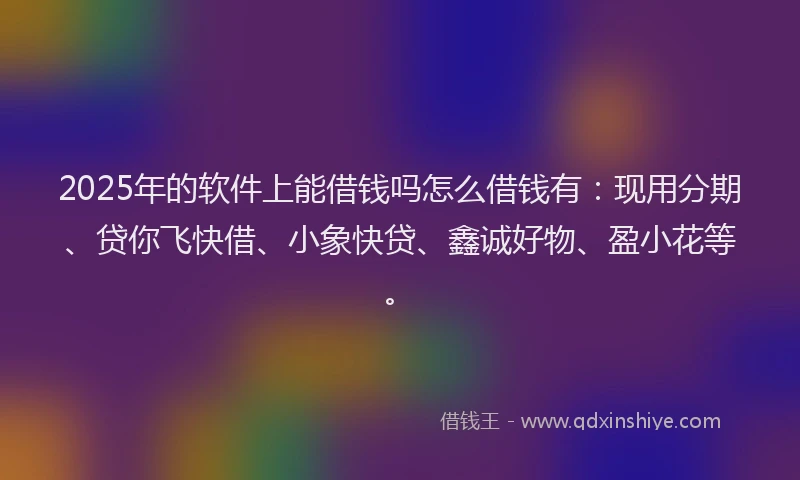 2025年的软件上能借钱吗怎么借钱有：现用分期、贷你飞快借、小象快贷、鑫诚好物、盈小花等。