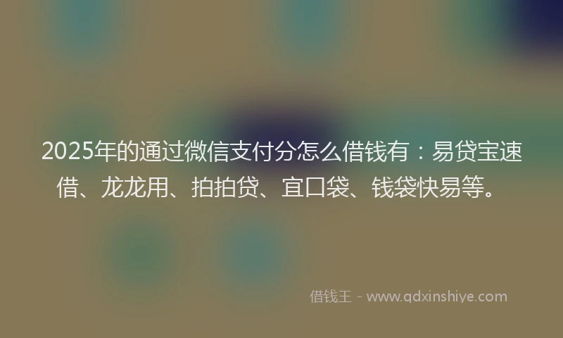 2025年的通过微信支付分怎么借钱有：易贷宝速借、龙龙用、拍拍贷、宜口袋、钱袋快易等。