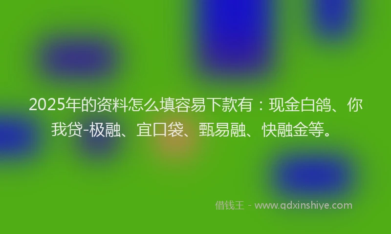 2025年的资料怎么填容易下款有：现金白鸽、你我贷-极融、宜口袋、甄易融、快融金等。